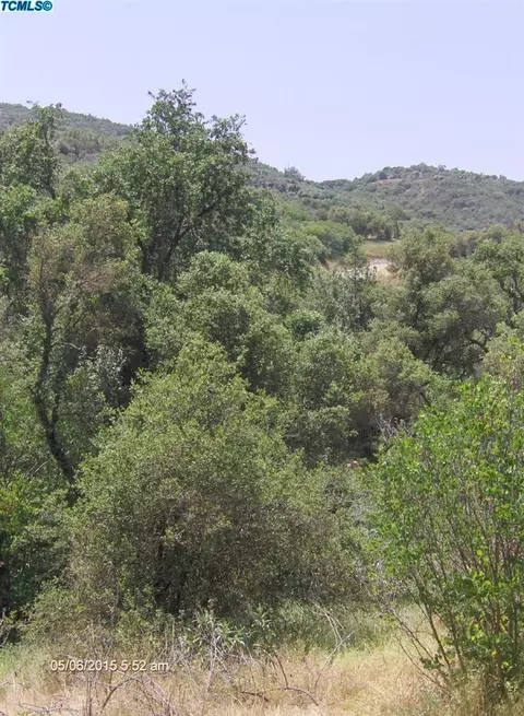 43340 Dunlap Rd, Miramonte, CA 93641 photo 5