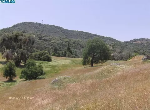 43340 Dunlap Rd, Miramonte, CA 93641 photo 2