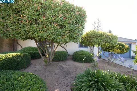 790 E Kip Patrick Dr, Reedley, CA 93654 photo 34