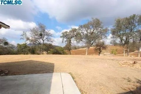 14302 Blue Oak Ln, Prather, CA 93651 photo 57