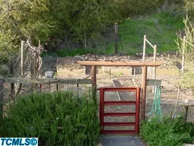 44103 Redbud Trl, Three Rivers, CA 93271 photo 13