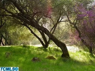 44103 Redbud Trl, Three Rivers, CA 93271 photo 16