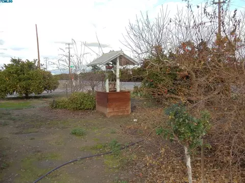 29989 Road 204, Exeter, CA 93221 photo 12
