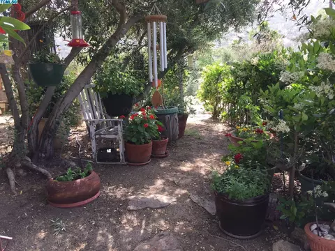 41895 N Fork Dr, Three Rivers, CA 93271 photo 40