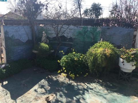 116 E Cedar St, Exeter, CA 93221 photo 21