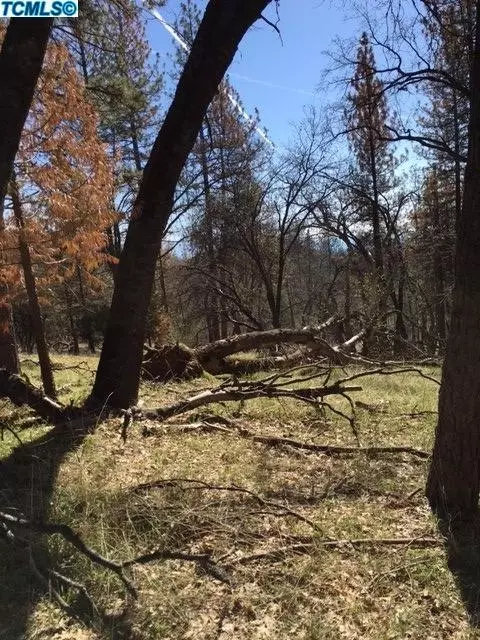 52857 Timberview Rd, North Fork, CA 93643 photo 6