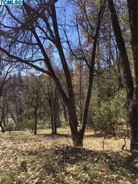 52857 Timberview Rd, North Fork, CA 93643 photo 2