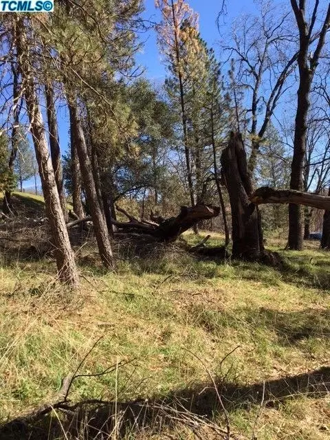 52857 Timberview Rd, North Fork, CA 93643 photo 5