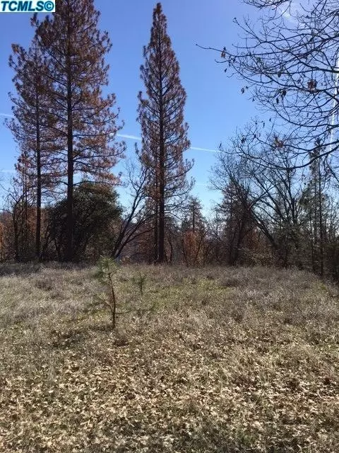 52857 Timberview Rd, North Fork, CA 93643 photo 8