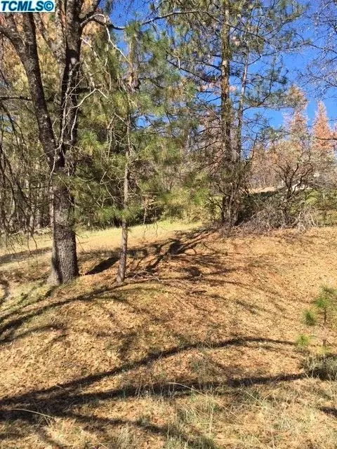 52857 Timberview Rd, North Fork, CA 93643 photo 4