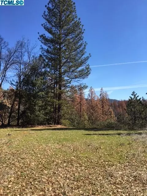 52857 Timberview Rd, North Fork, CA 93643 photo 1