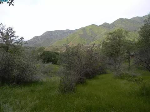 41118 Blossom Dr, Three Rivers, CA 93271 photo 8