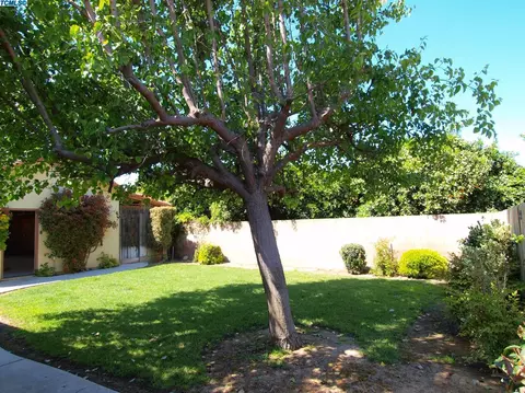 319 Old Line Ave, Exeter, CA 93221 photo 29