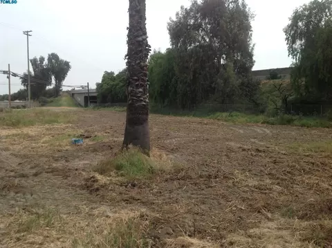 2005 Knowles St, Selma, CA 93662 photo 4