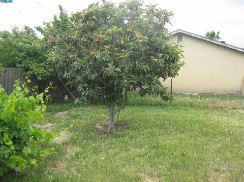 823 E Ash Ave, Tulare, CA 93274 photo 7