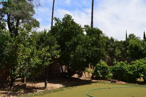 1747 Alamos Ave, Clovis, CA 93611 photo 5