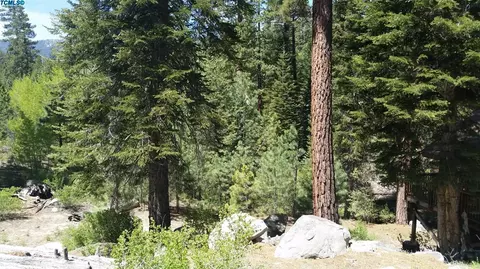 58281 Carter Dr, Ponderosa, CA 93265 photo 18