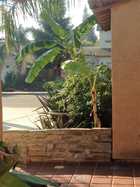 3946 E Cambridge Ave, Visalia, CA 93292 photo 12