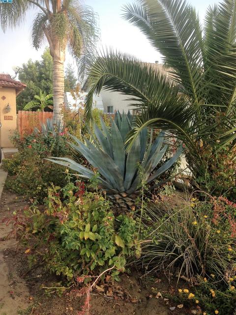 3946 E Cambridge Ave, Visalia, CA 93292 photo 41