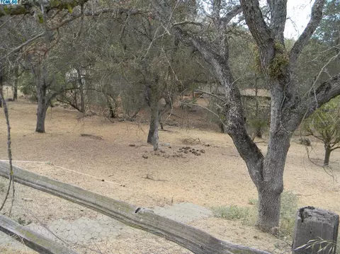 40917 Quail Dr, Three Rivers, CA 93271 photo 7