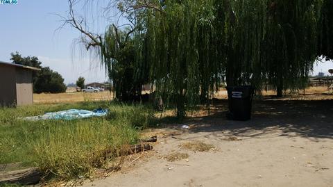 21383 E Jefferson Ave, Reedley, CA 93654 photo 8