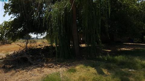 21383 E Jefferson Ave, Reedley, CA 93654 photo 20
