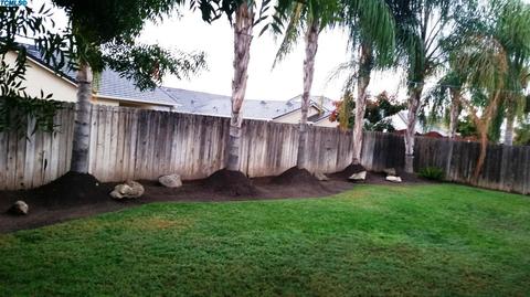 4303 E Paradise Ave, Visalia, CA 93292 photo 13