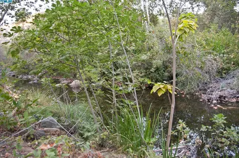 43130 N Fork Dr, Three Rivers, CA 93271 photo 19