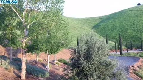 30621 Lyla, Exeter, CA 93221 photo 51