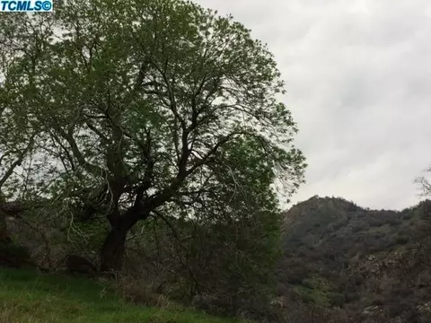 43705 N North Fork Dr, Three Rivers, CA 93271 photo 5