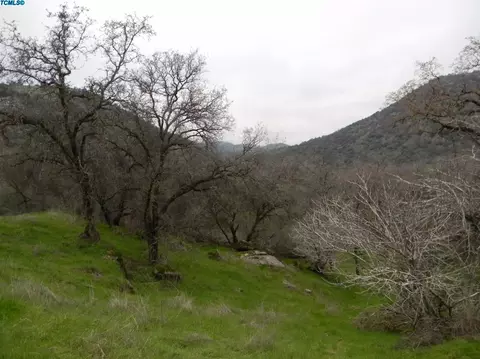 43705 N North Fork Dr, Three Rivers, CA 93271 photo 16
