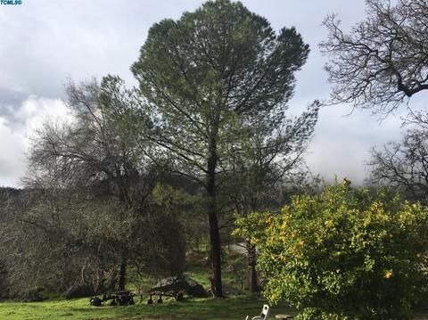 43923 Washburn Dr, Three Rivers, CA 93271 photo 18