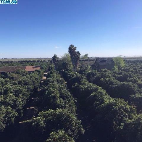 25704 Road 196, Exeter, CA 93221 photo 25