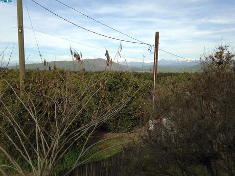 25704 Road 196, Exeter, CA 93221 photo 29