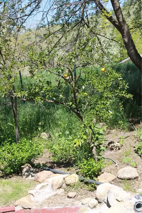 45405 S Fork Dr, Three Rivers, CA 93271 photo 23
