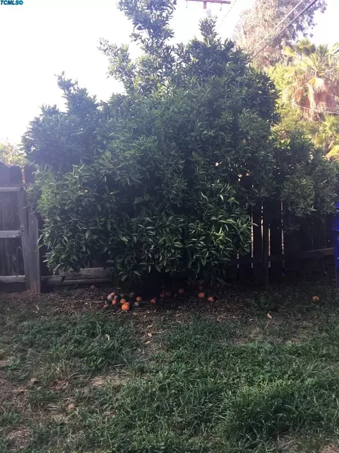 431 N Orange Ave, Exeter, CA 93221 photo 8