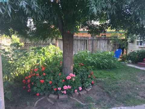 431 N Orange Ave, Exeter, CA 93221 photo 5