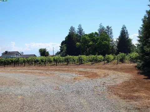 171 S Cornucopia Rd, Exeter, CA 93221 photo 11