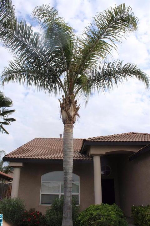 1232 E Copper Ct, Visalia, CA 93292 photo 3