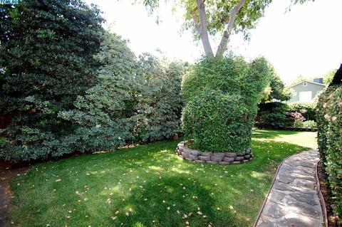 708 E Chestnut St, Exeter, CA 93221 photo 30