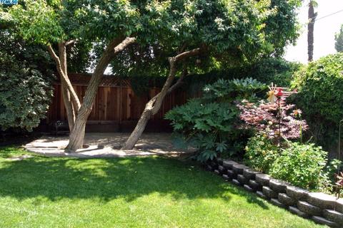 708 E Chestnut St, Exeter, CA 93221 photo 33