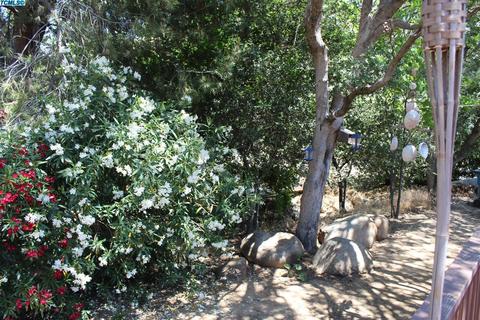 41046 Meadow Dr, Three Rivers, CA 93271 photo 14