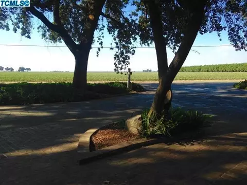 6111 Avenue 252, Tulare, CA 93274 photo 8