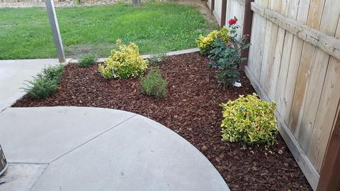 4335 E Feemster Ave, Visalia, CA 93292 photo 12