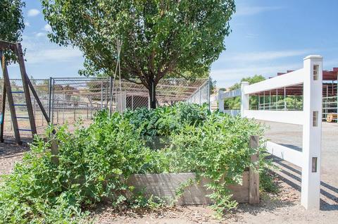 31024 Fritz Dr, Exeter, CA 93221 photo 14