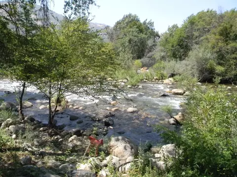 42353 Sierra Dr, Three Rivers, CA 93271 photo 5