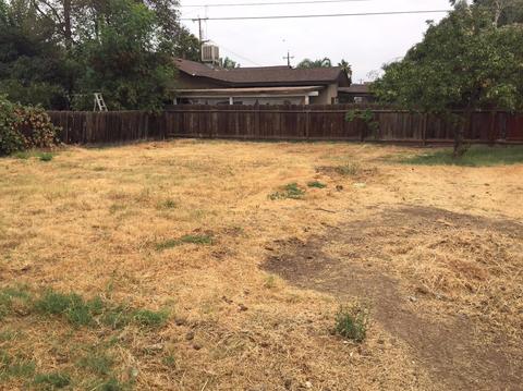 40376 Ralph Rd, Cutler, CA 93615 photo 4