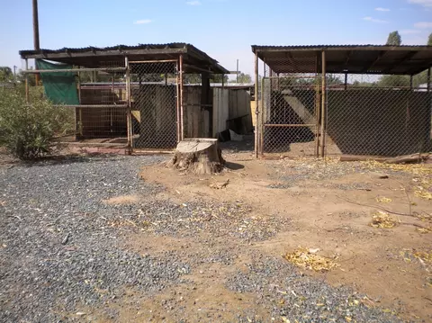 6120 Road 236, Ducor, CA 93218 photo 3