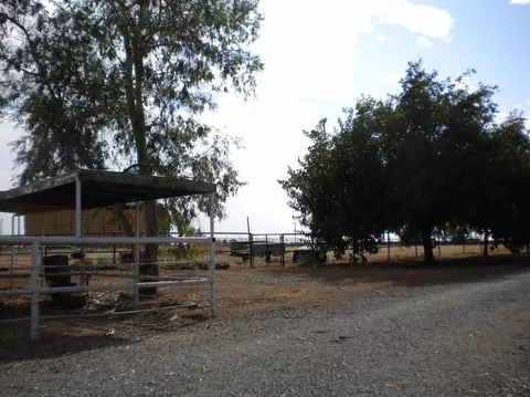 6120 Road 236, Ducor, CA 93218 photo 10