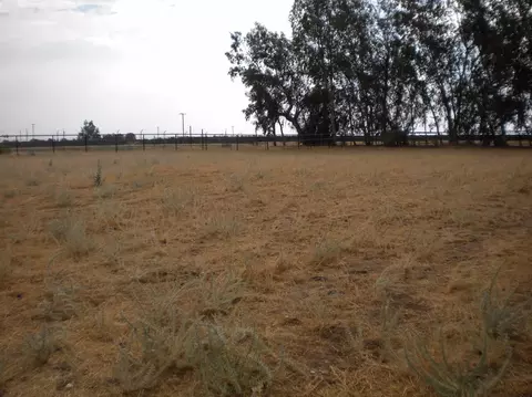 6120 Road 236, Ducor, CA 93218 photo 59